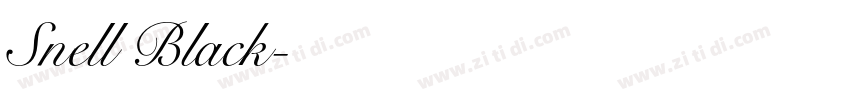 Snell Black字体转换